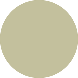 Direct pigment color gel 150ml biondo beige