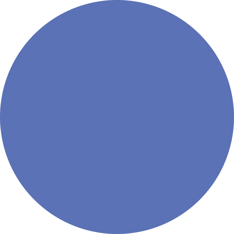 raywell raywell direct pigment color gel 150ml blu - foto 2