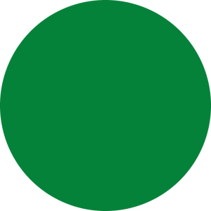 Direct pigment color gel 150ml verde