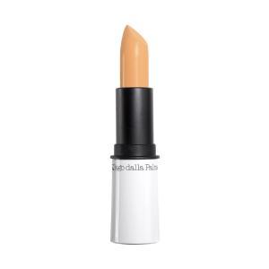 Ddpalma correttore stick n.02